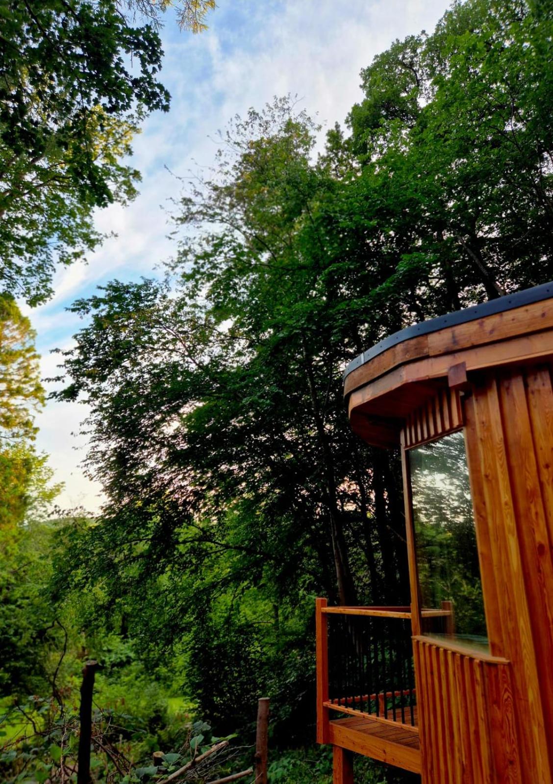 The Toads Hideout - A Cabin in an Ancient Welsh Woodland