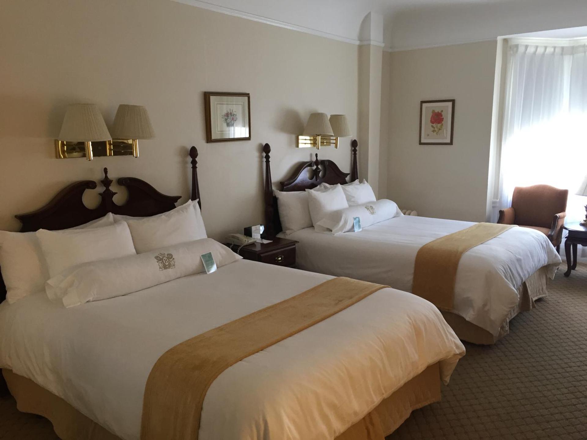 Studio Suite With Kitchen