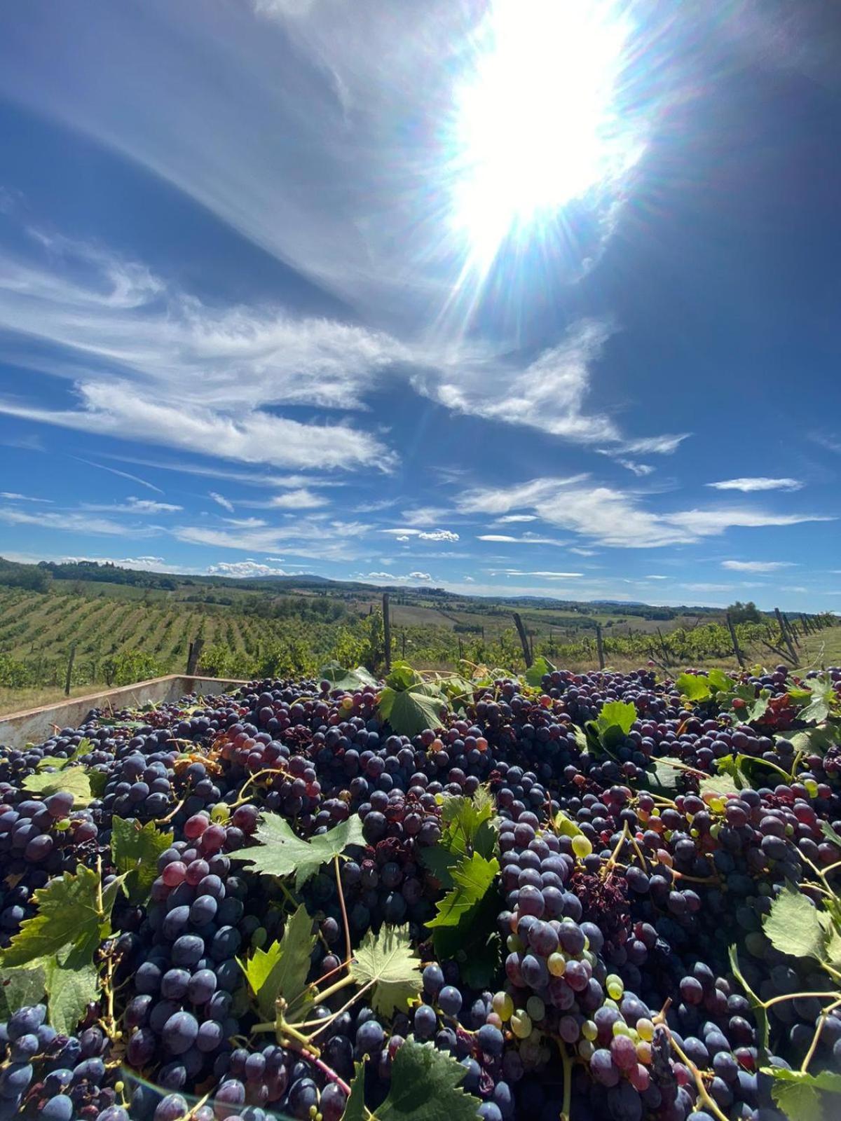 Casal de' Matti - Casa Margot