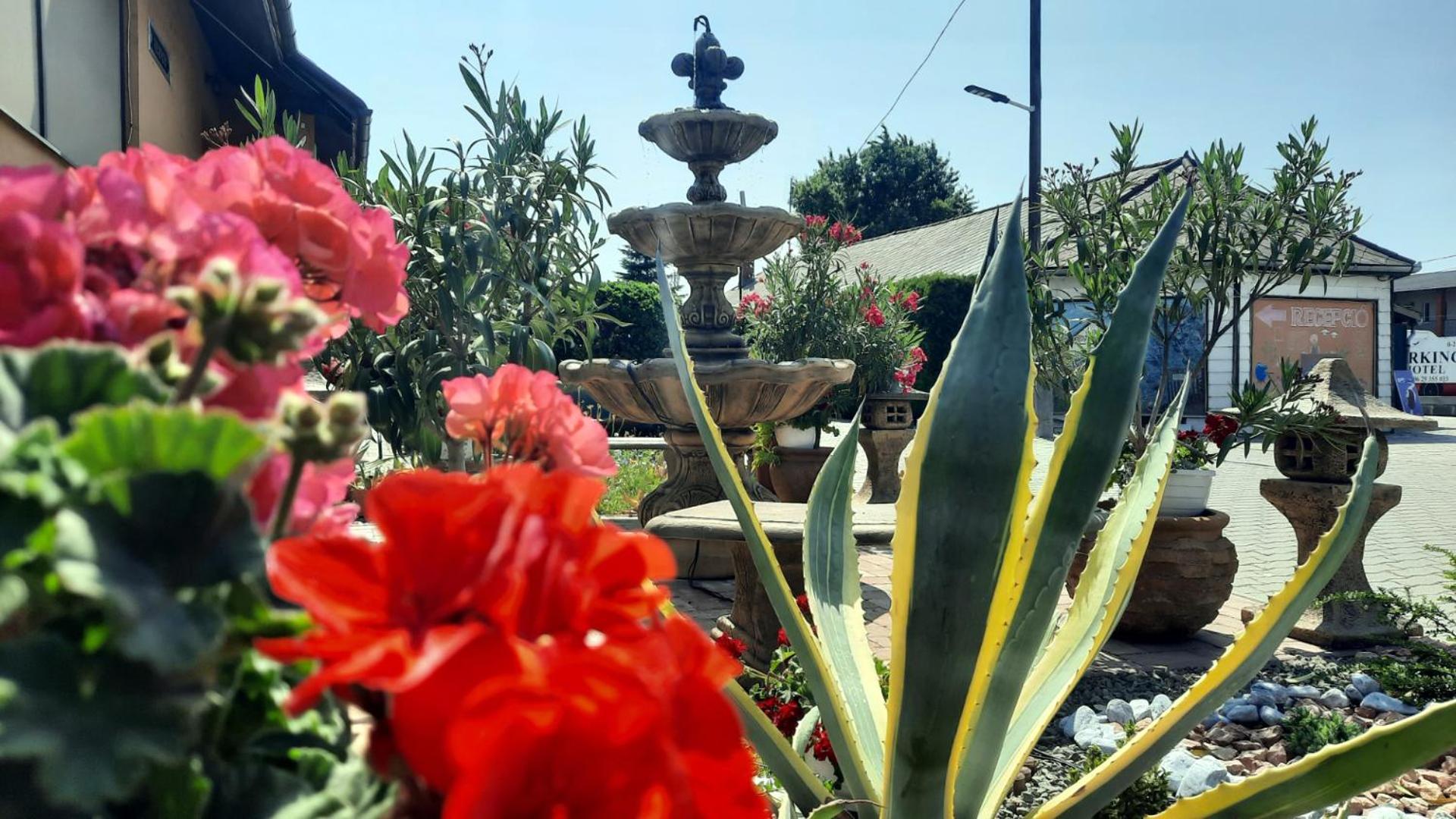 Airport Budapest Sarokhaz Panzio