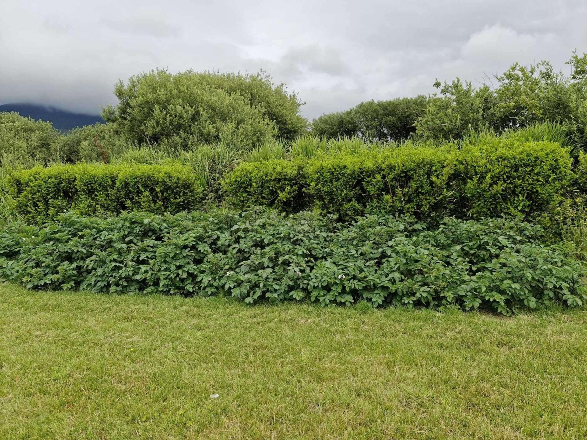 Villa Rose - Sleeps 2 & Stunning Seaside Views