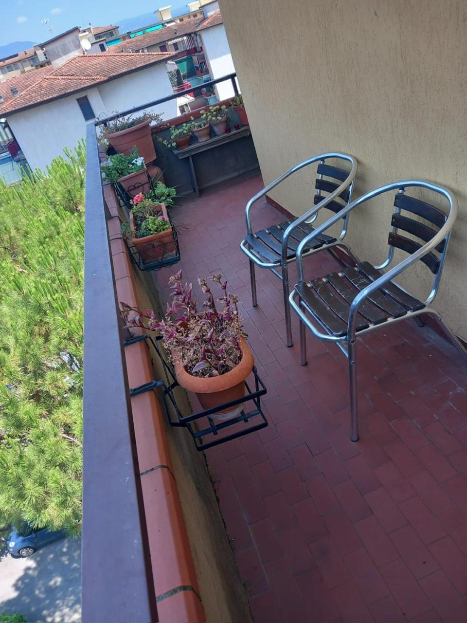 View (from property/room)