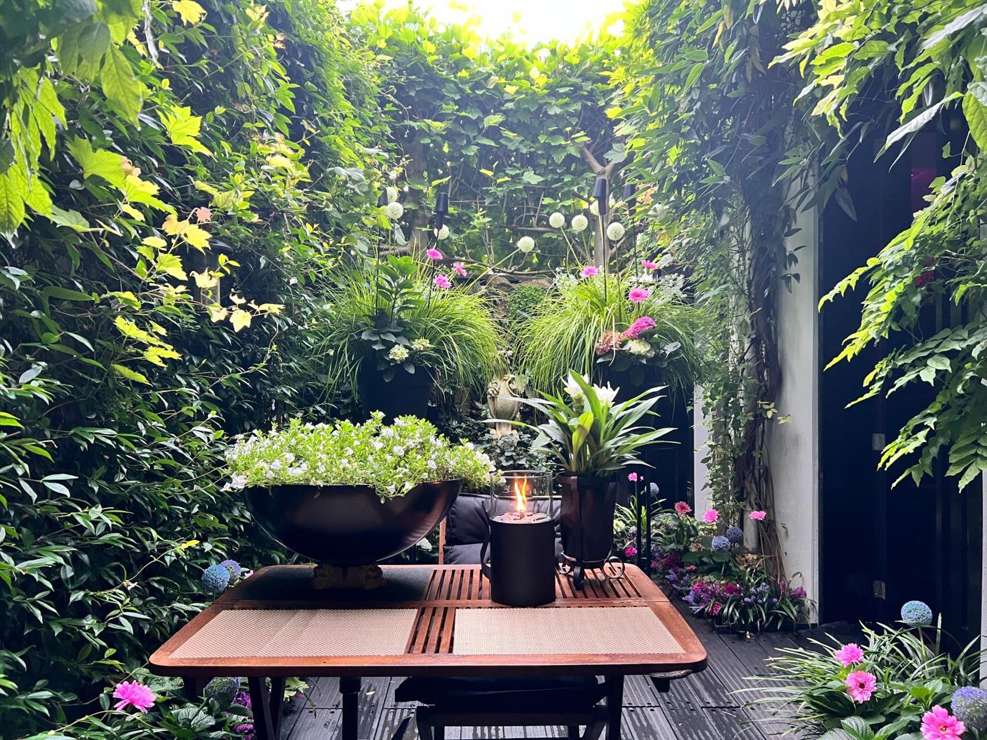 View (from property/room)