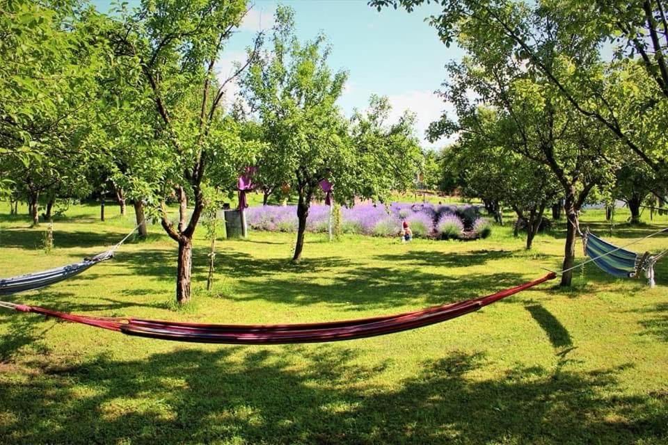 Casa rurală cu livadă LavAndra