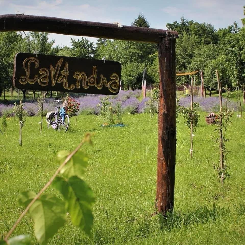 Casa rurală cu livadă LavAndra