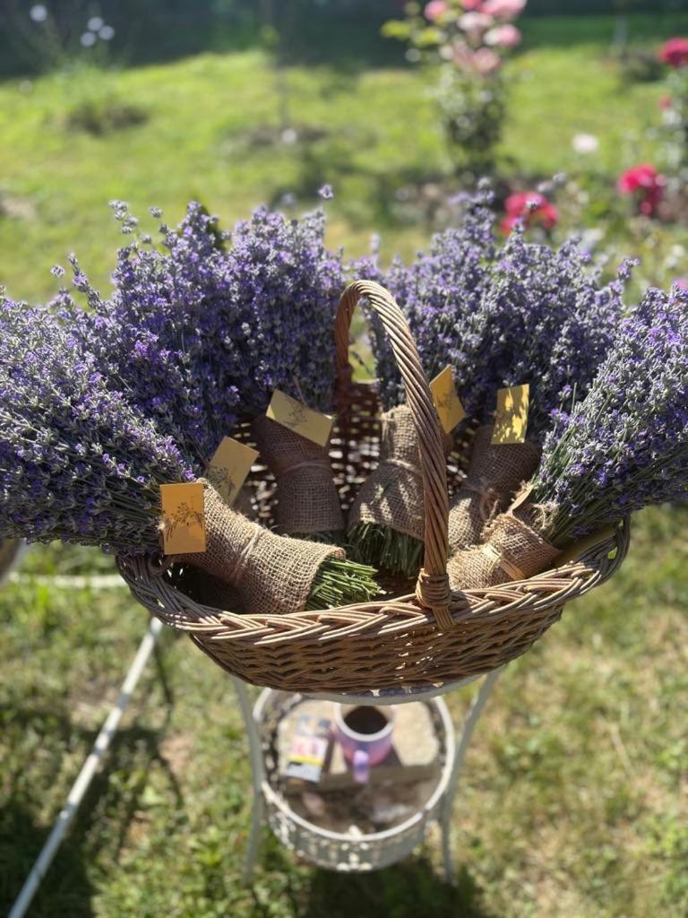 Casa rurală cu livadă LavAndra