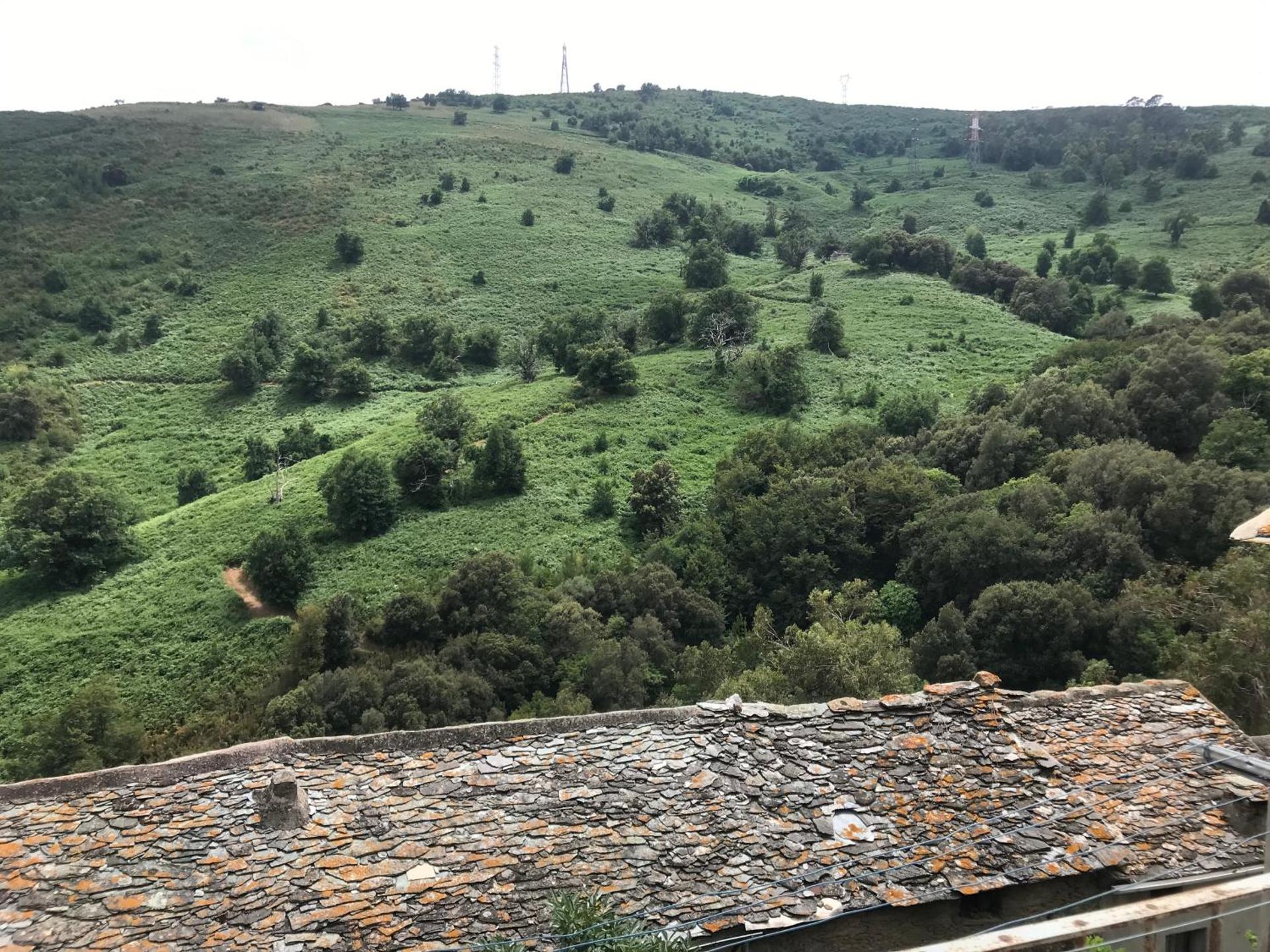 Au coeur du Village de Lucciana