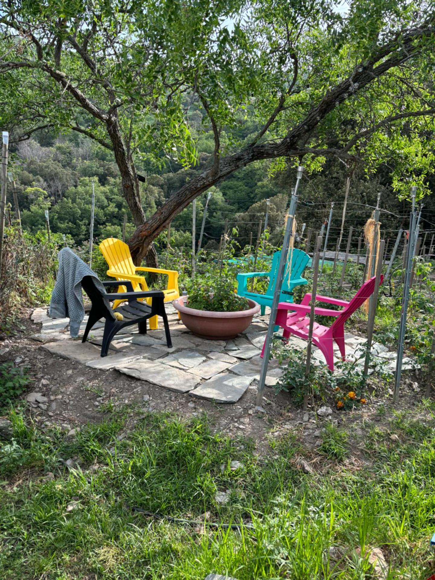 Au coeur du Village de Lucciana