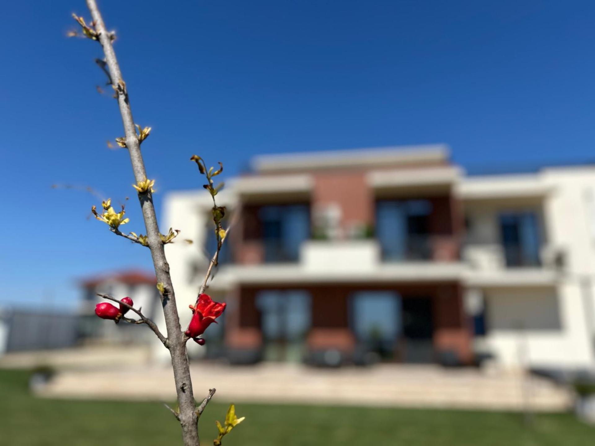 Pensiunea Livada Techirghiol