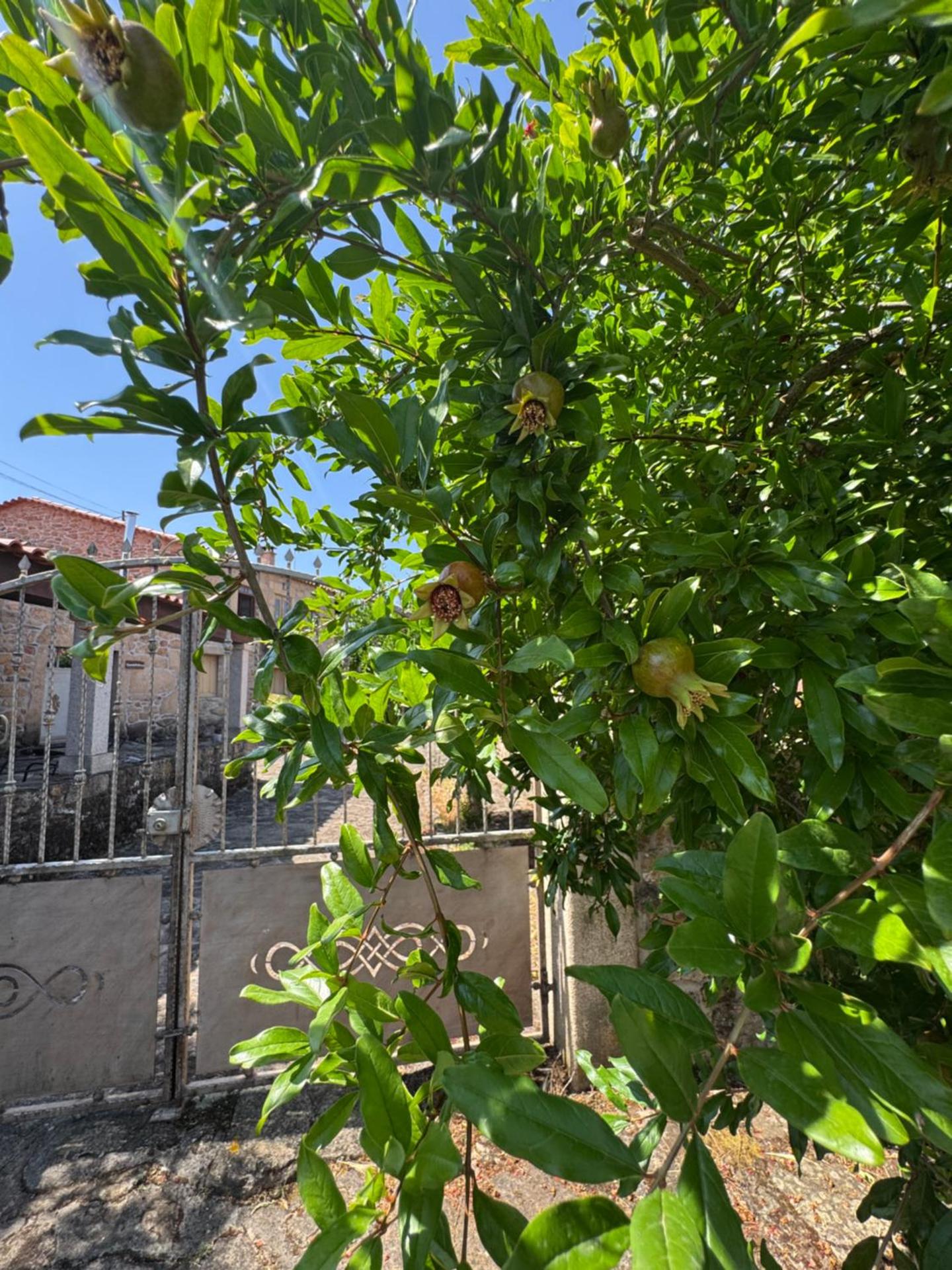 Juízo Country Houses