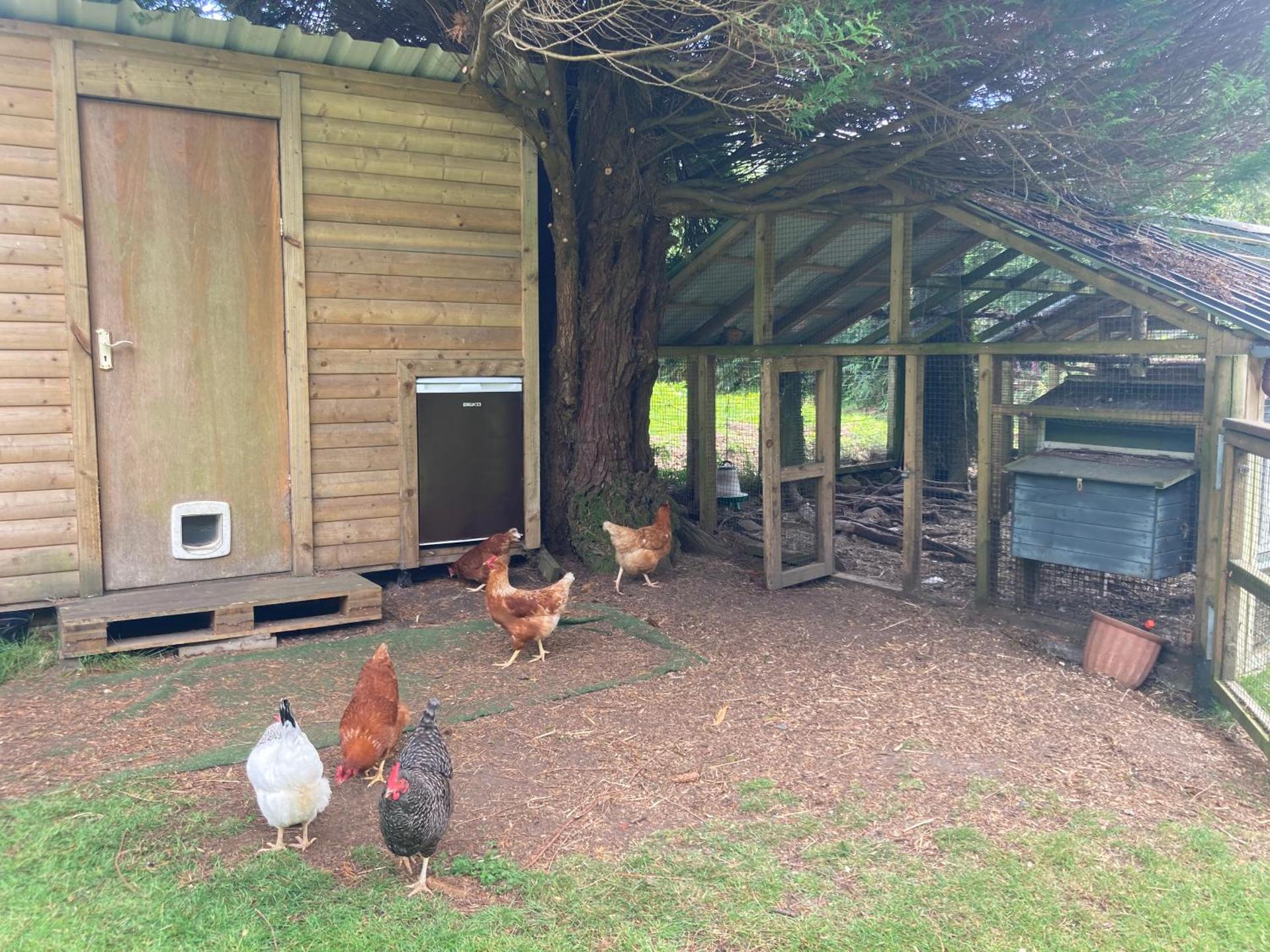 Aughavannagh Yurt Glamping
