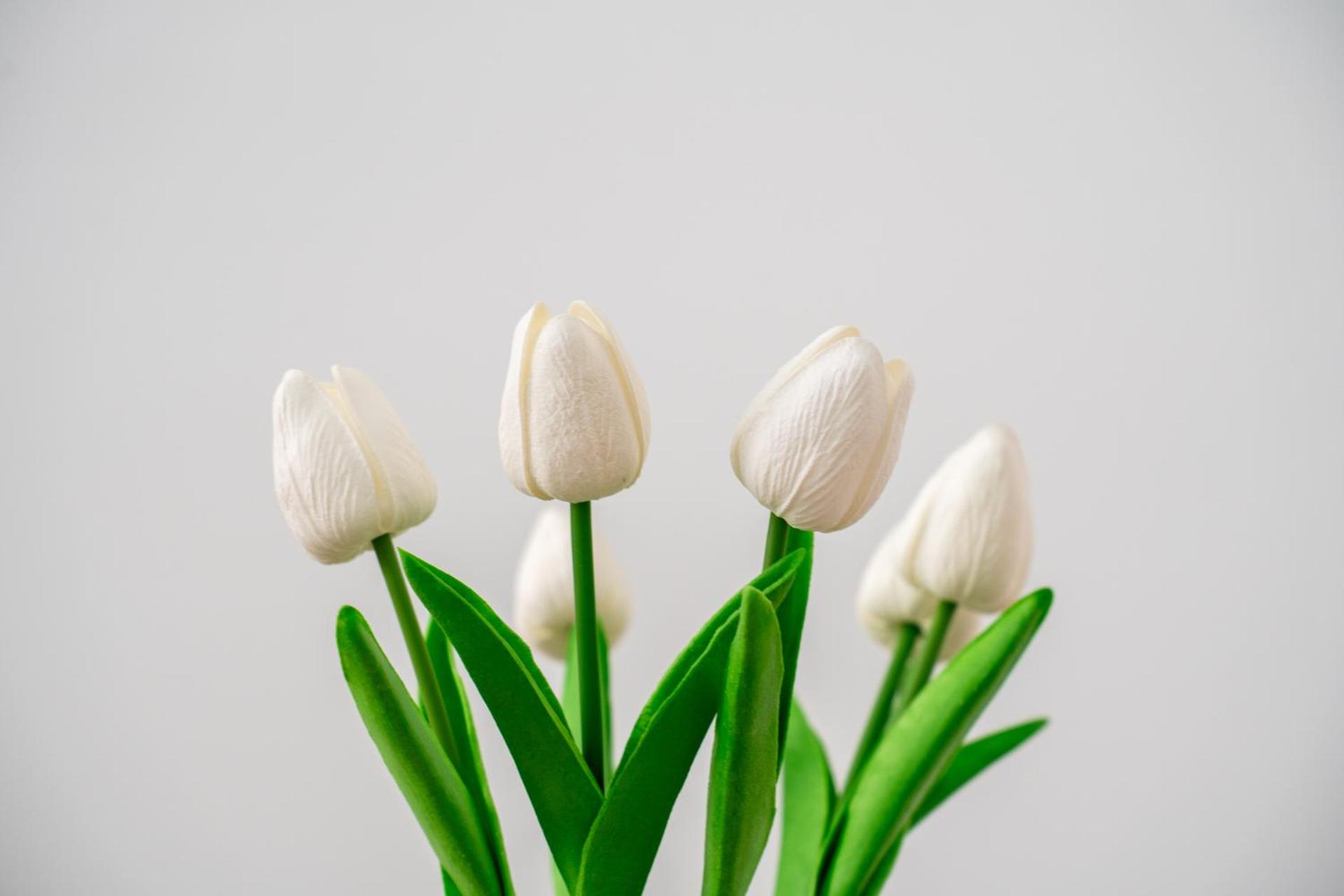 Casa Libertá Minimal & Chic Apt-Self Check in