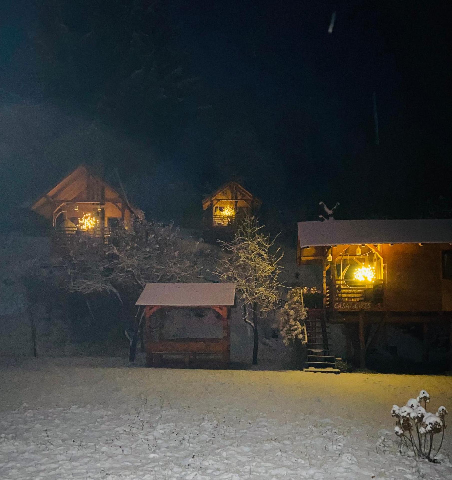 Domeniul Horj Casa din Stejar Moisei