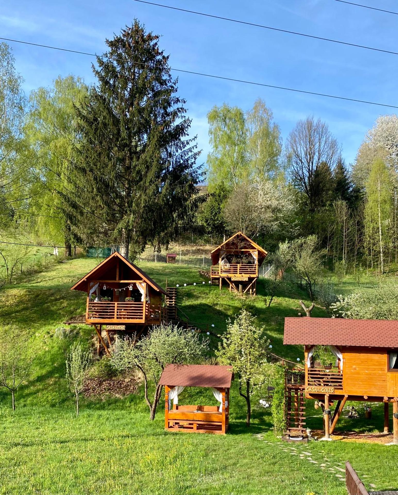 Domeniul Horj Casa din Stejar Moisei