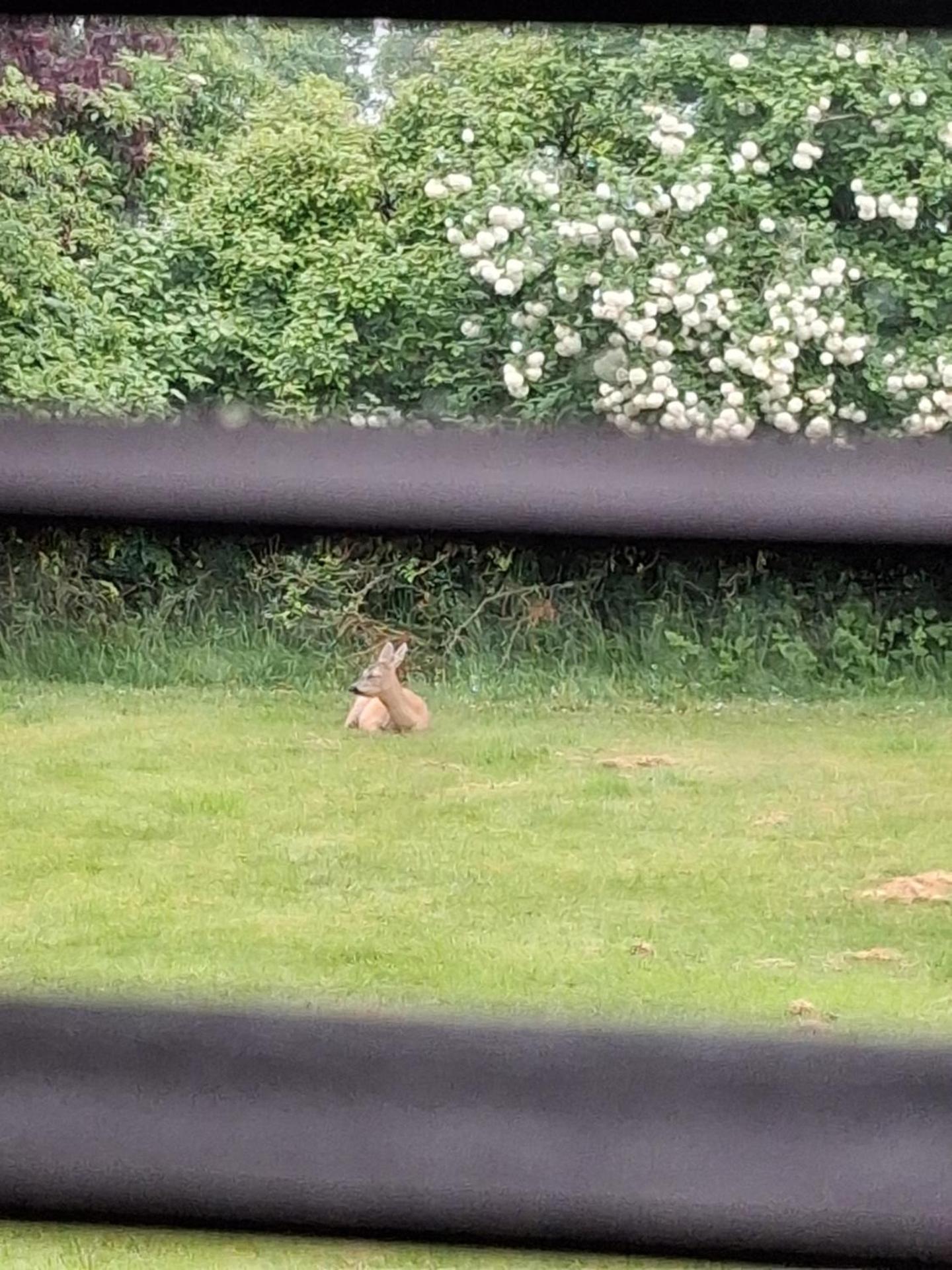 Kragkaer Guest House - A Cozy Double Room Overlooking Nature