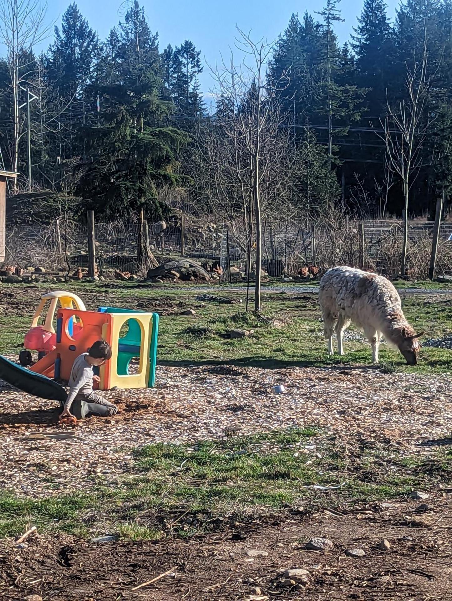 Farmhouse cabin on 33 acre farm