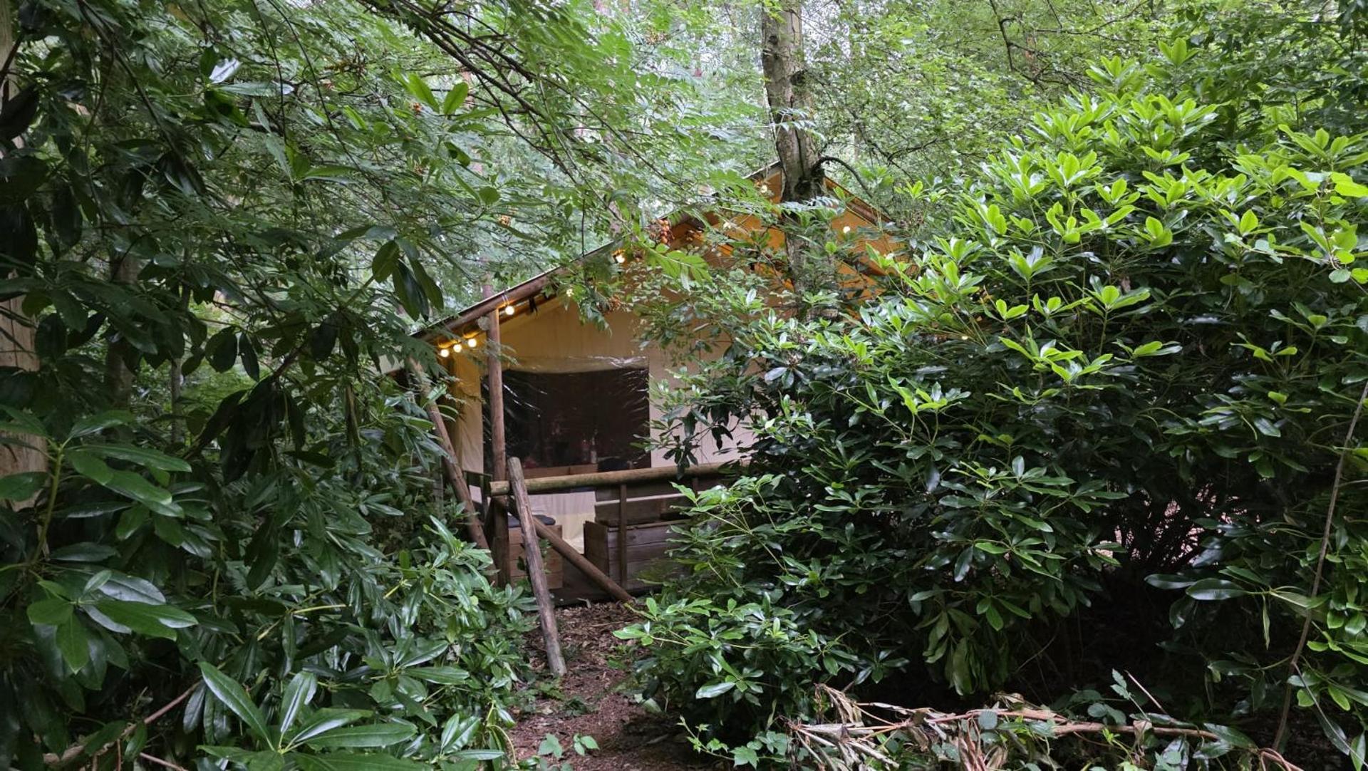 Glampingtent Bosgenot