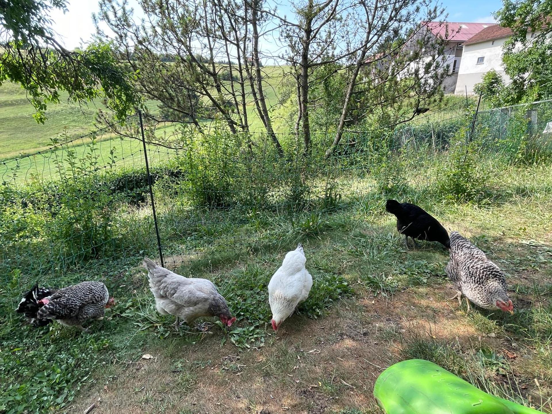 Ferienwohnung Aussicht, Monheimer Alb, Altmühltal