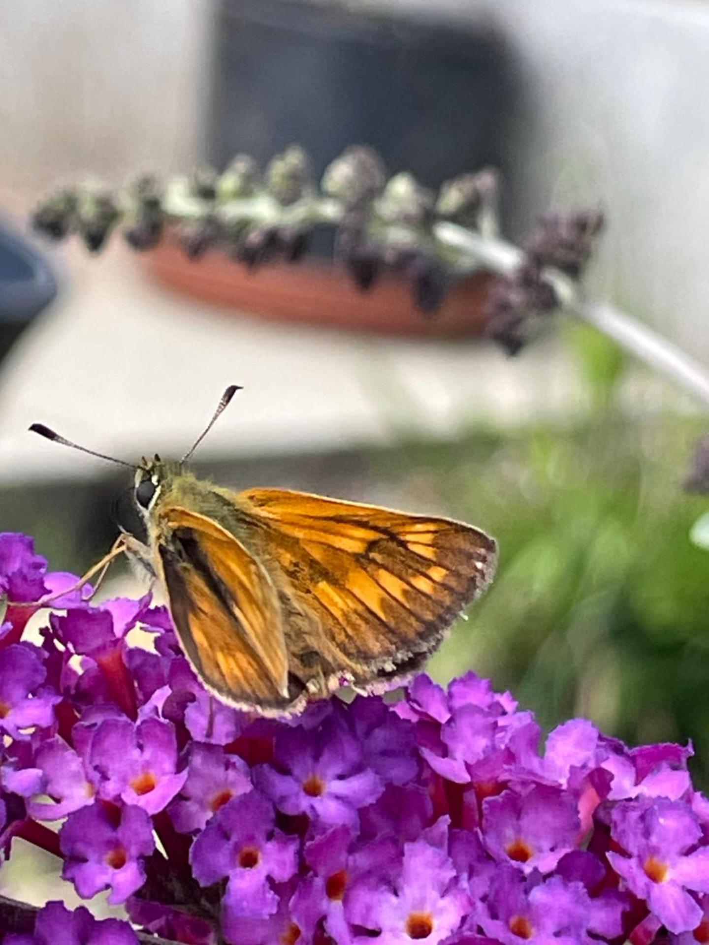 Ferienwohnung Aussicht, Monheimer Alb, Altmühltal