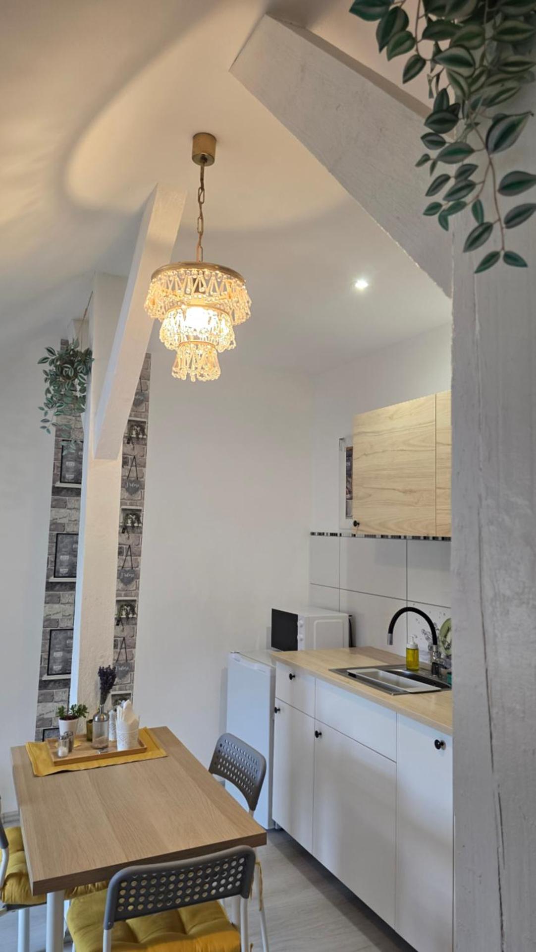 Studio - Café Princ pod Hradem, KLIMA, WiFi