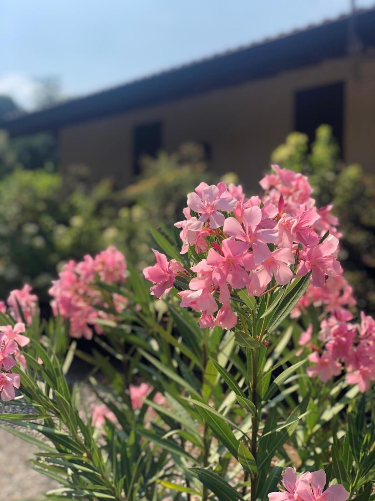 LA CASETTA Malpensa Guesthouse