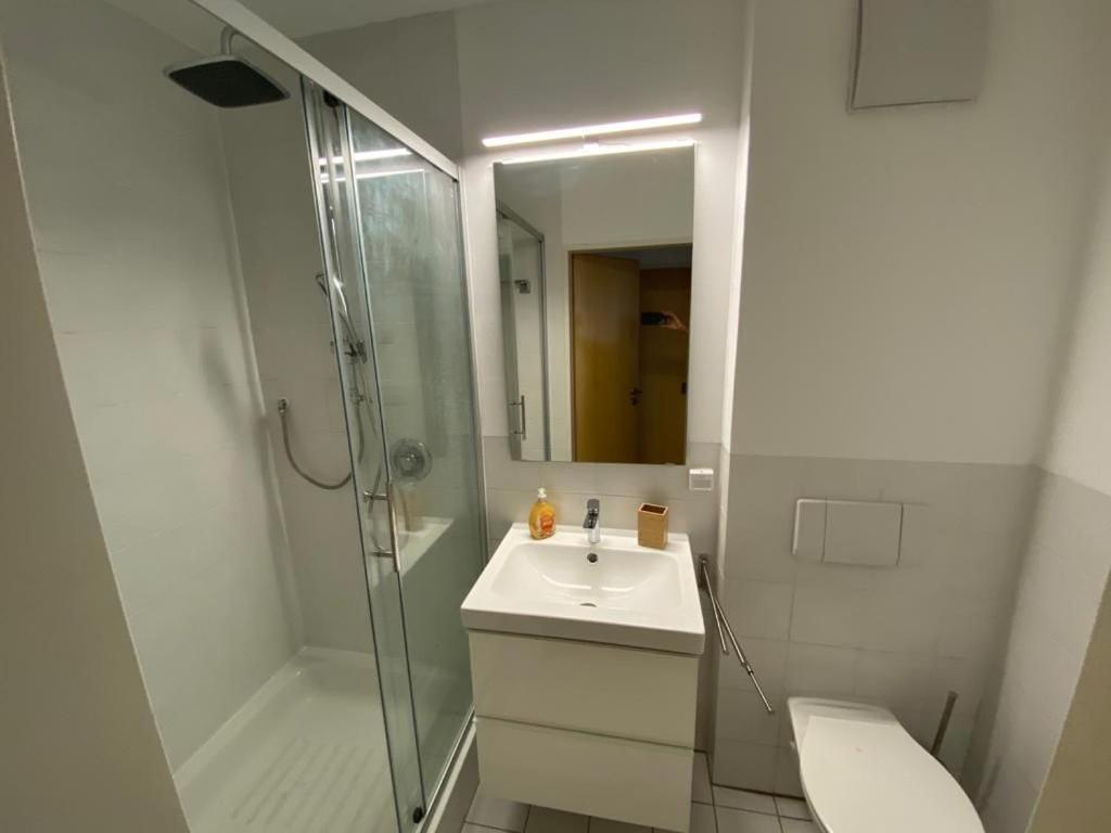 Ferienpark im schönen Falkenstein 6