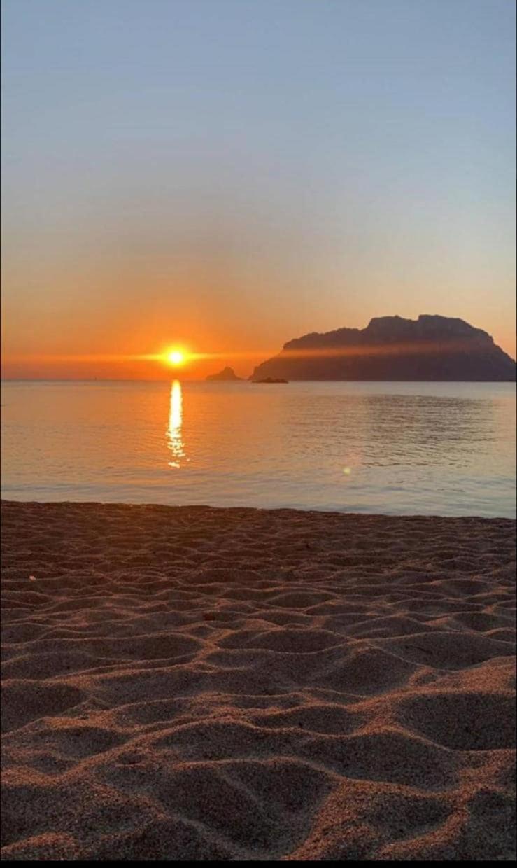 Stazzo Gallurese con vista sul golfo di Olbia