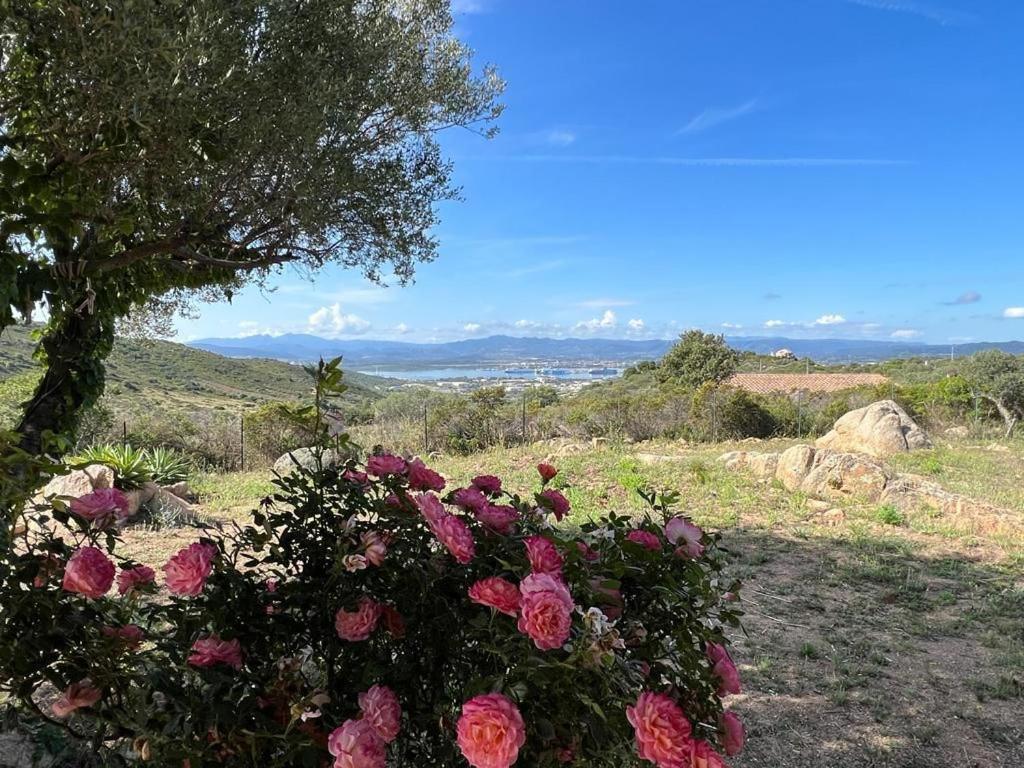 Stazzo Gallurese con vista sul golfo di Olbia