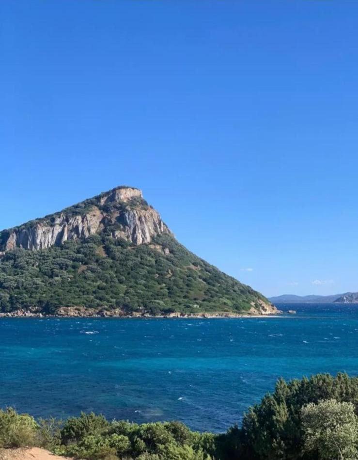 Stazzo Gallurese con vista sul golfo di Olbia