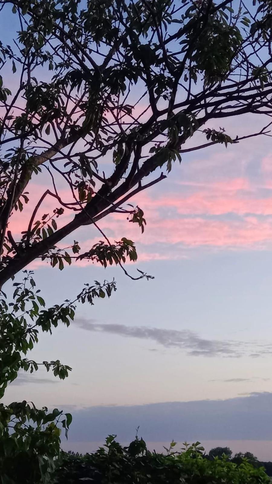 Strandhuis De Bakkeete B