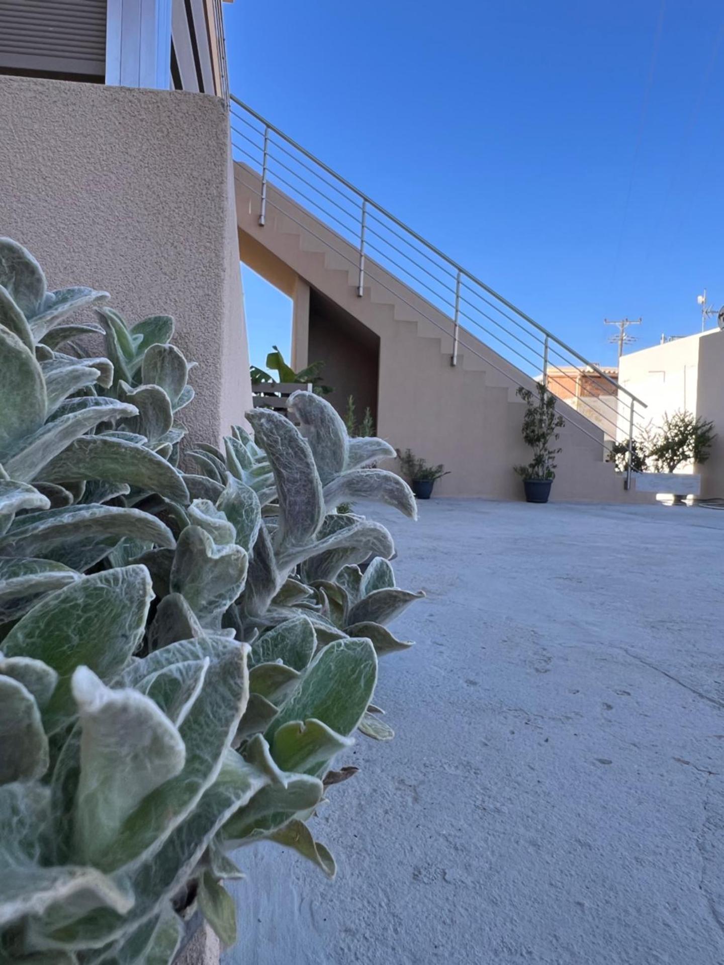 South Comfort Living