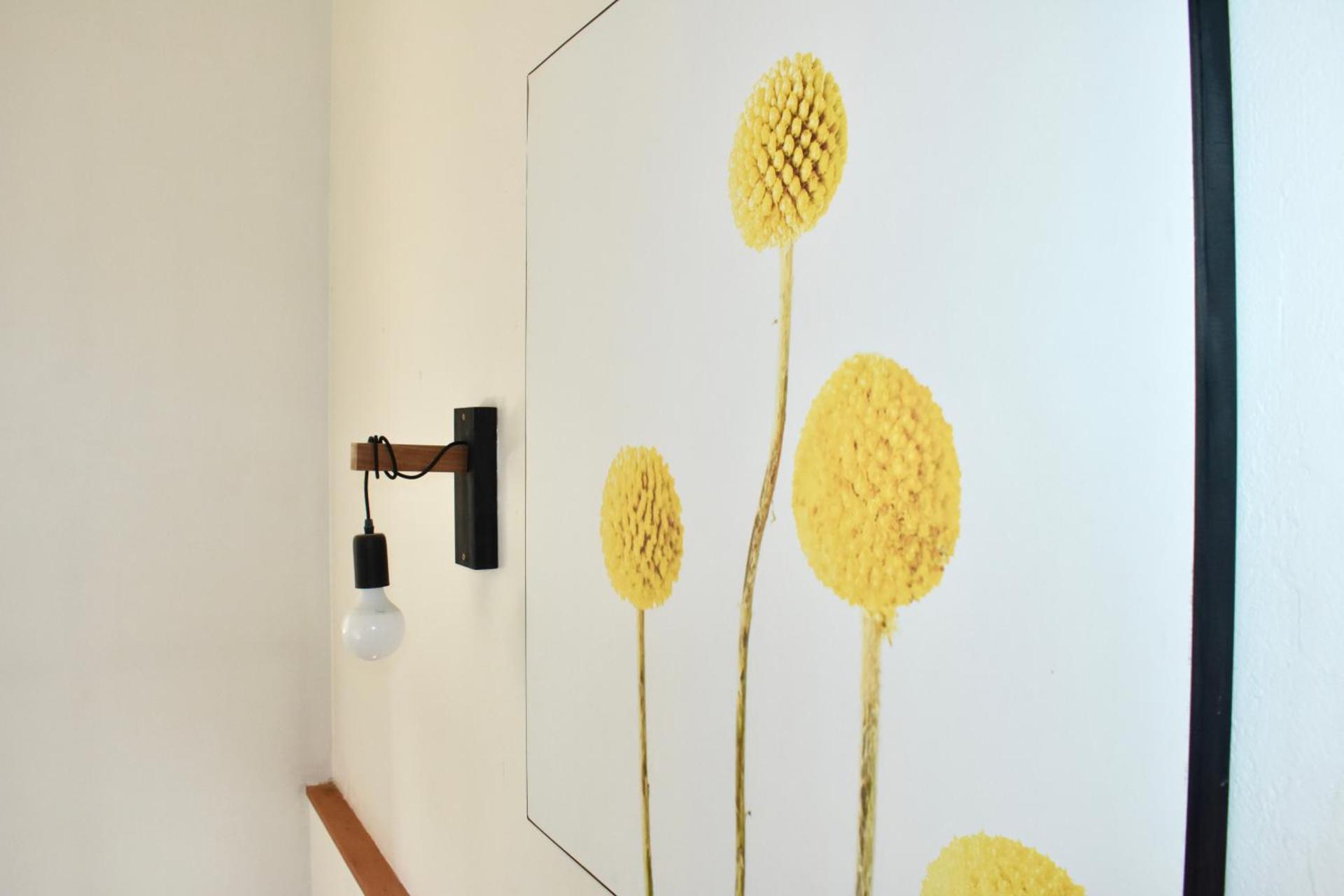 Duplex lumineux haut Jura