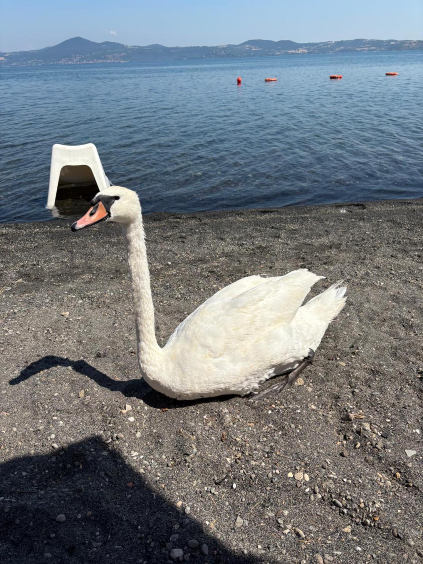 La Casetta di Francesca,Anguillara Sabazia
