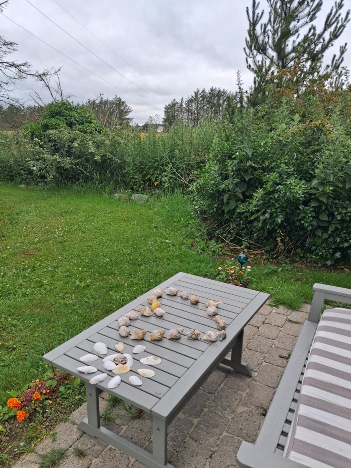 KRAGKAER Deer-Lodge B&B & Guest House - Unique Holiday Homes