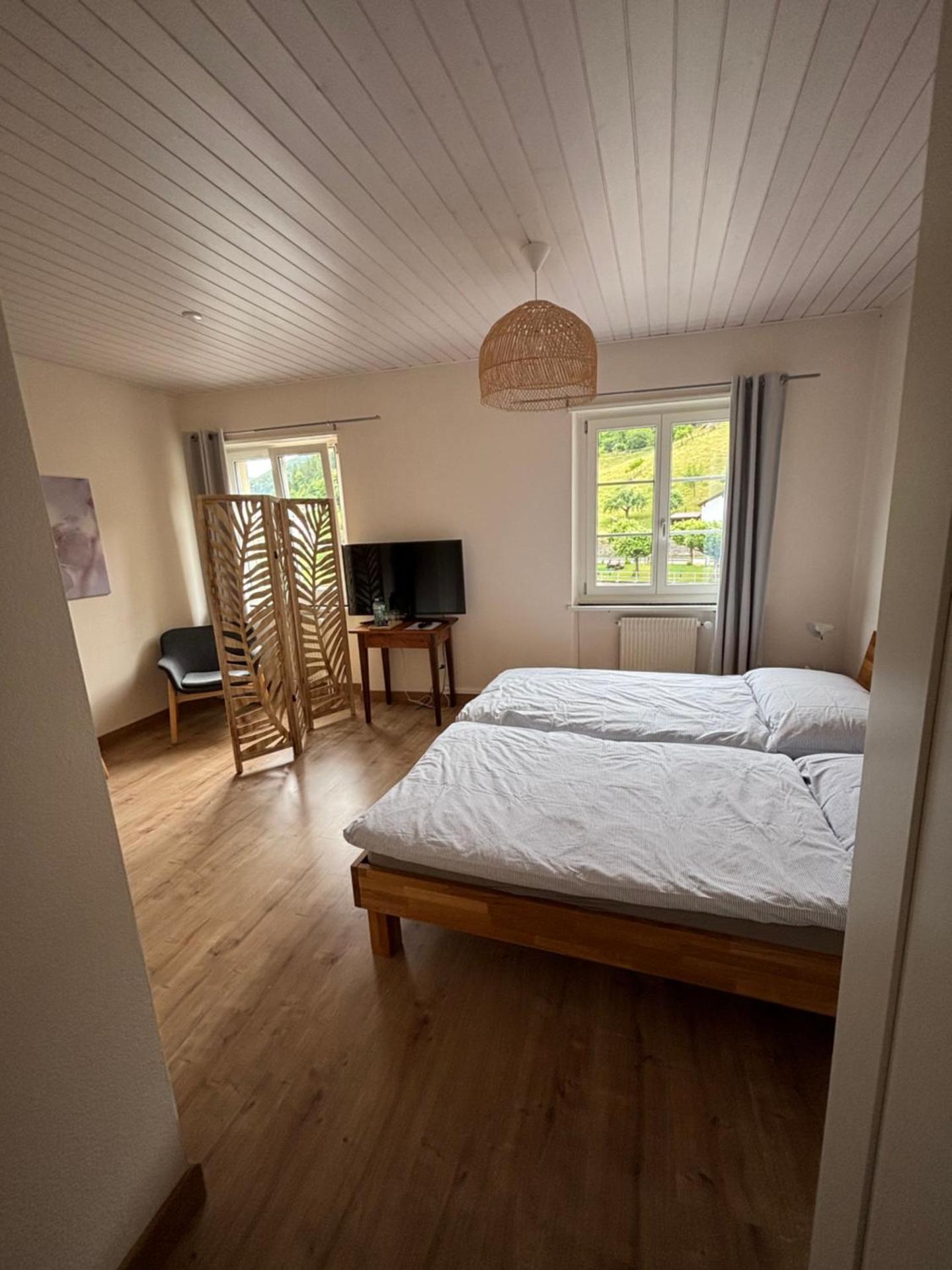 Camera Deluxe Matrimoniale/Doppia con Letti Singoli con Vista Fiume