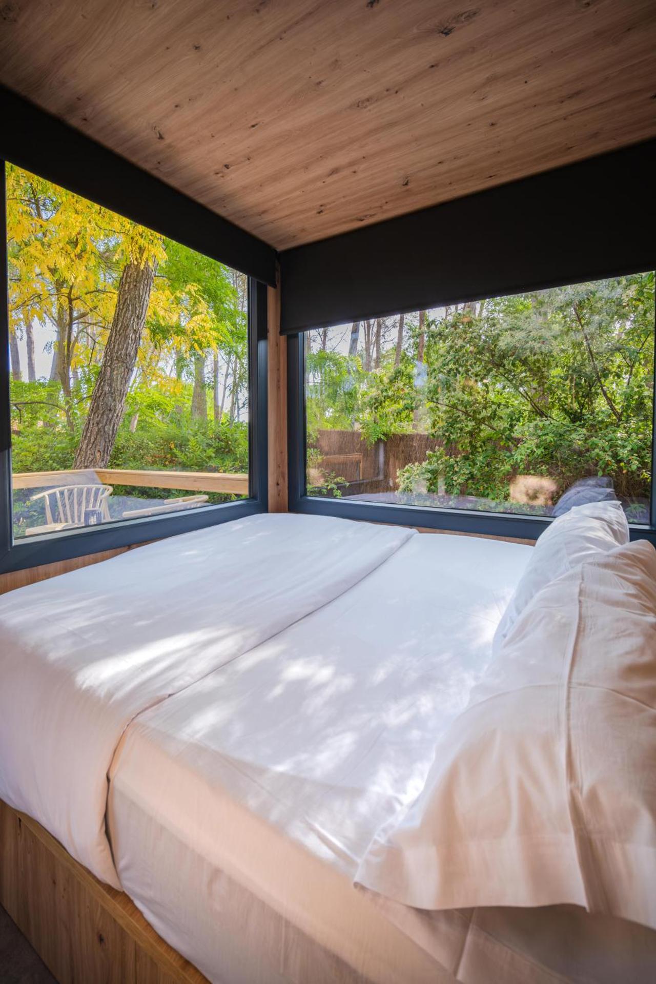 Cabañas del bosque Sacedón