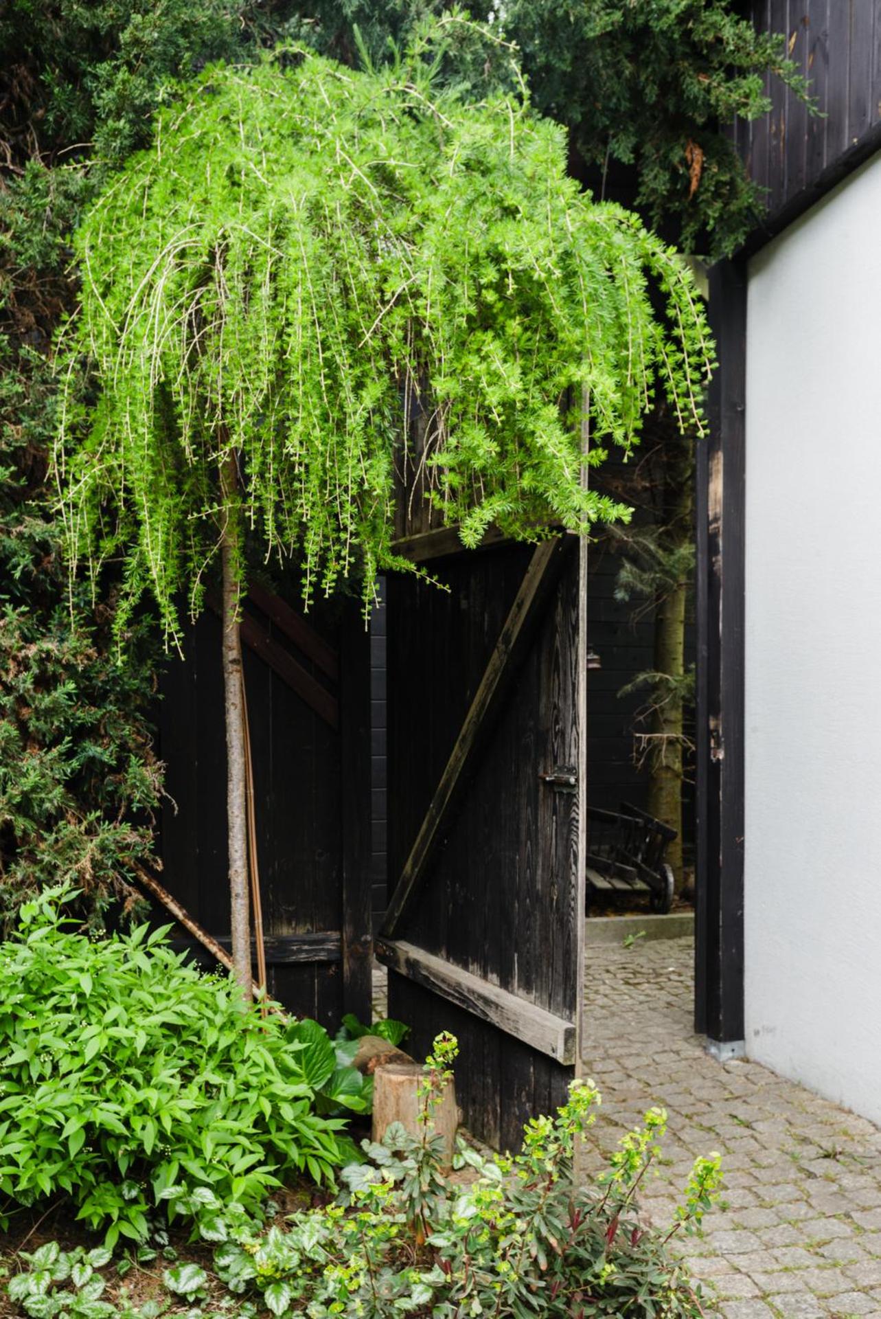 Apartamenty Pod Bocianem