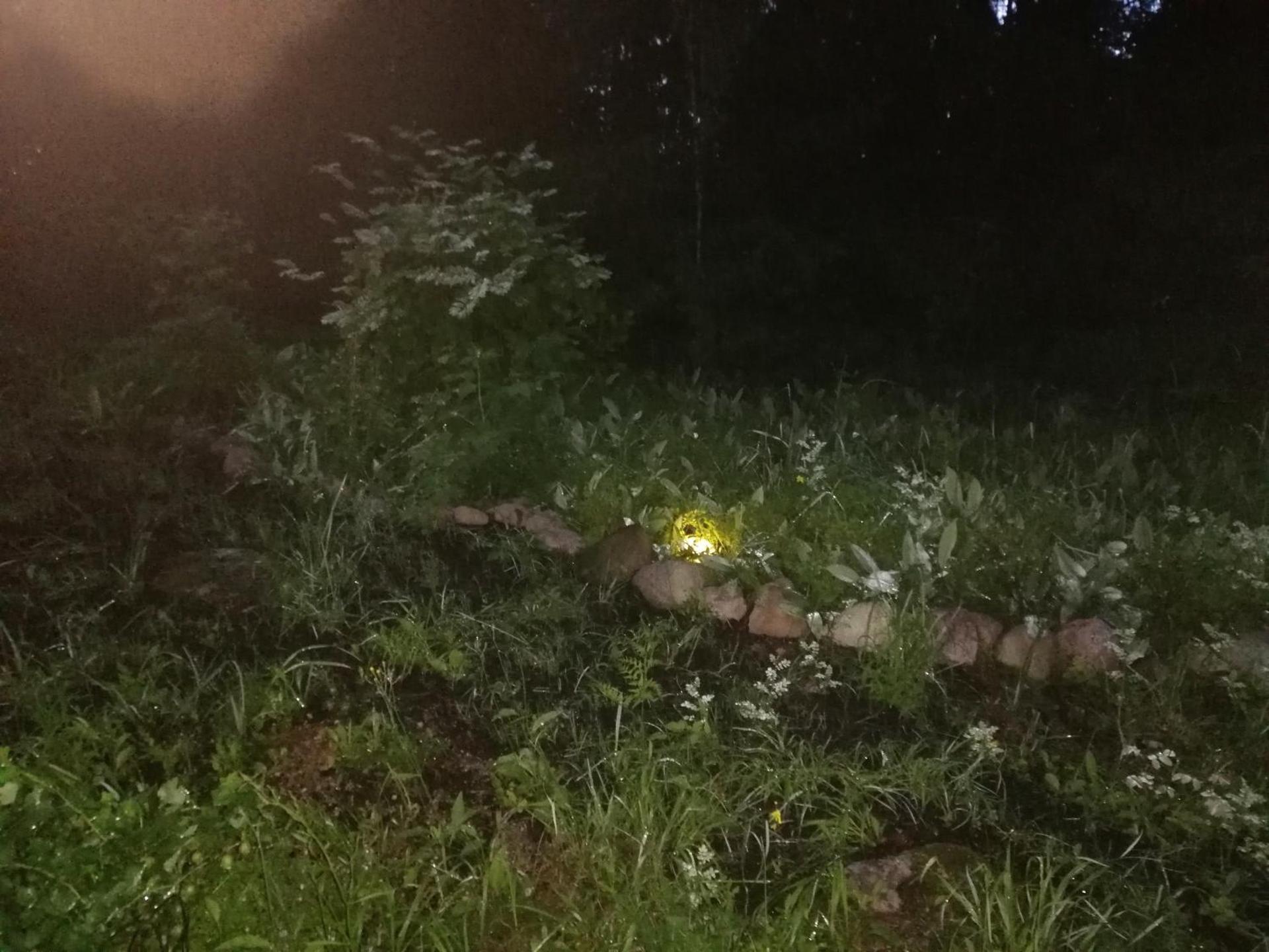 Apartment by the park