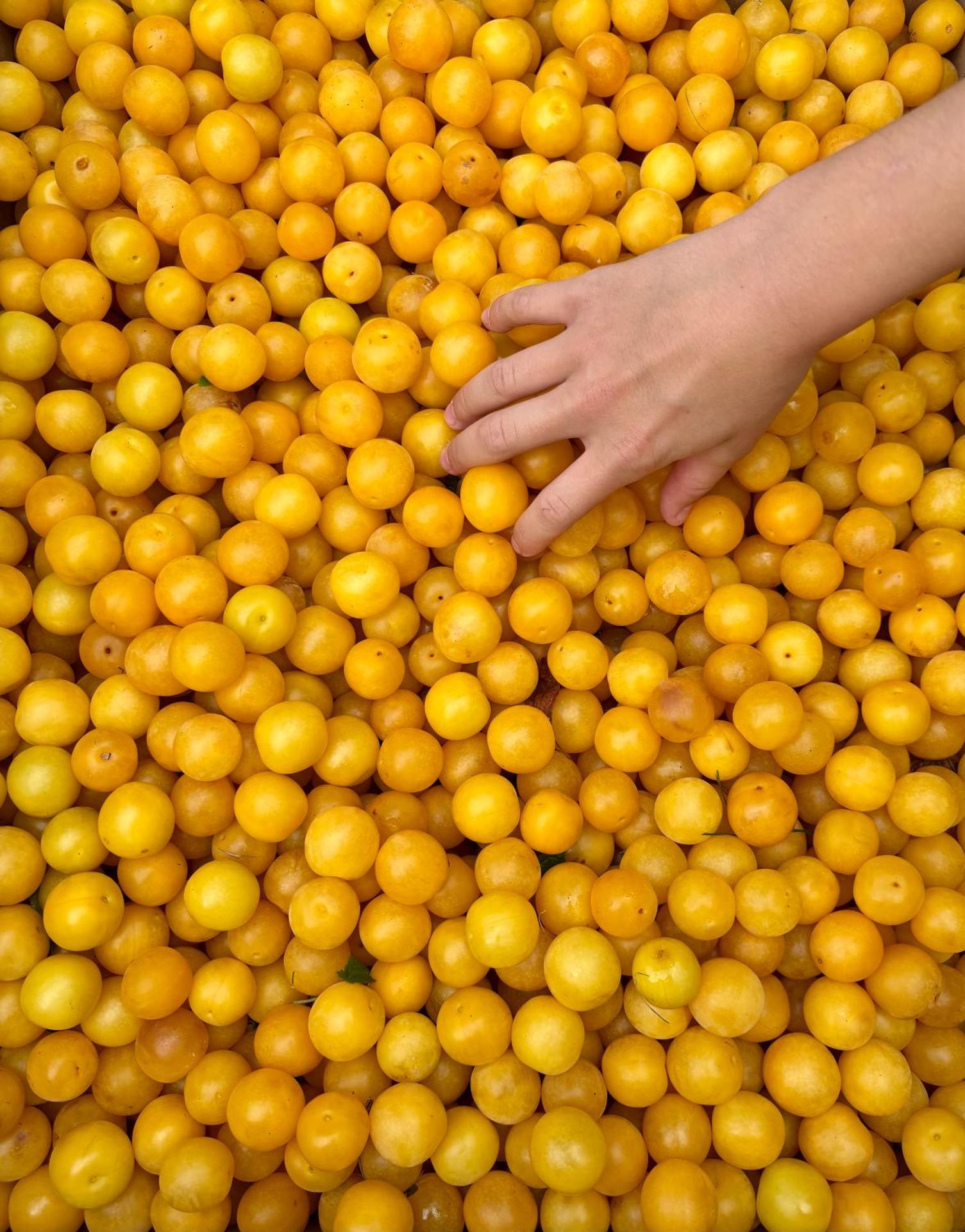 La Petite Maison de Giverny - Gîte de charme 5 étoiles au cœur du village - Maison 3 Chambres 3 Salles de Bain - Jardin - Privatisation