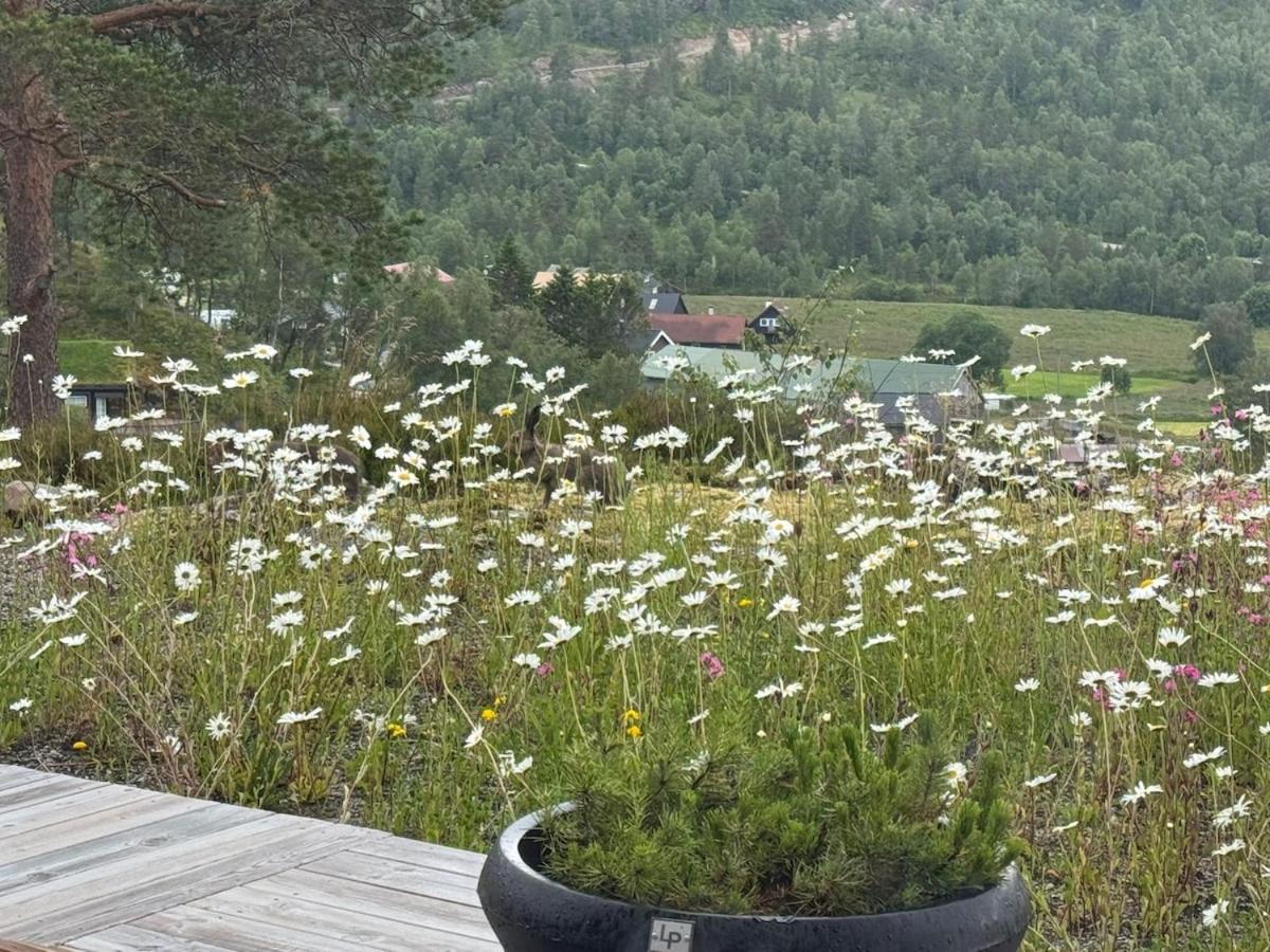 Flott nyere hytte i Sirdal med fantastisk utsikt og solforhold