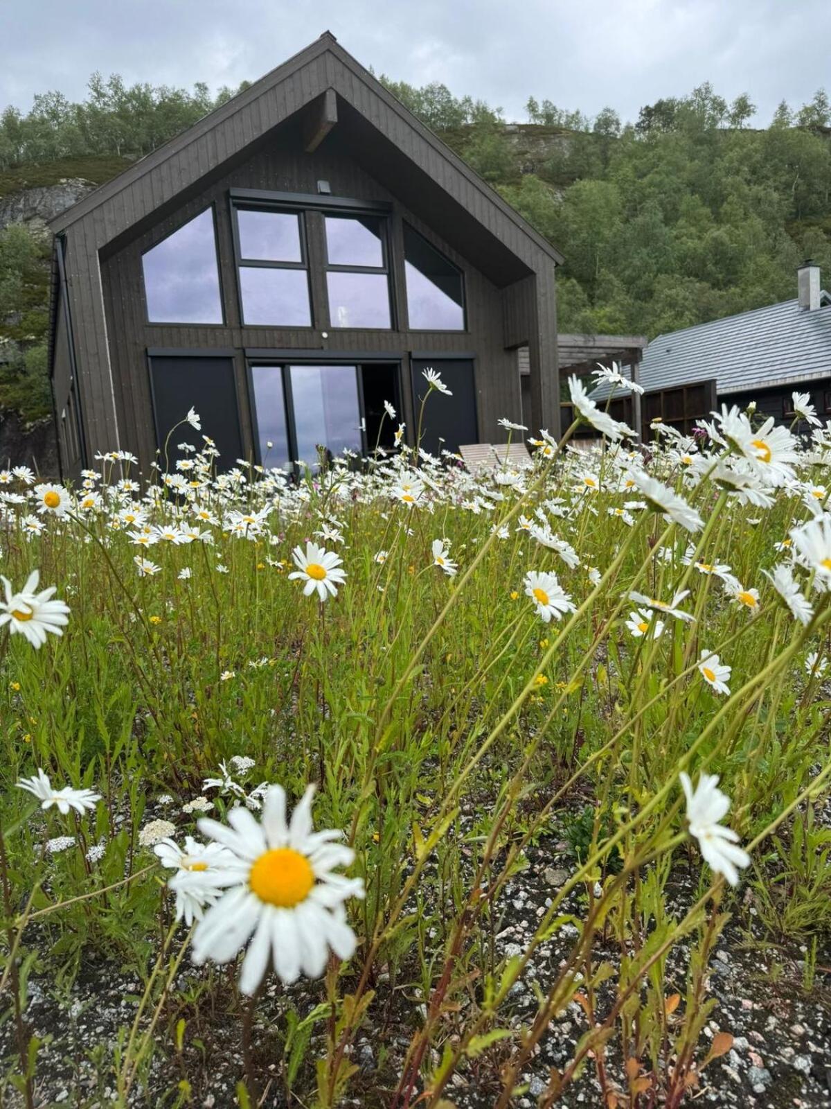 Flott nyere hytte i Sirdal med fantastisk utsikt og solforhold