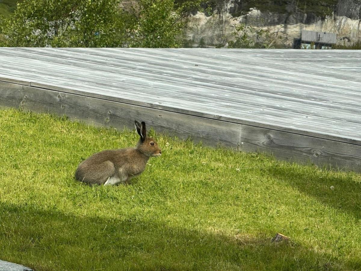 Flott nyere hytte i Sirdal med fantastisk utsikt og solforhold