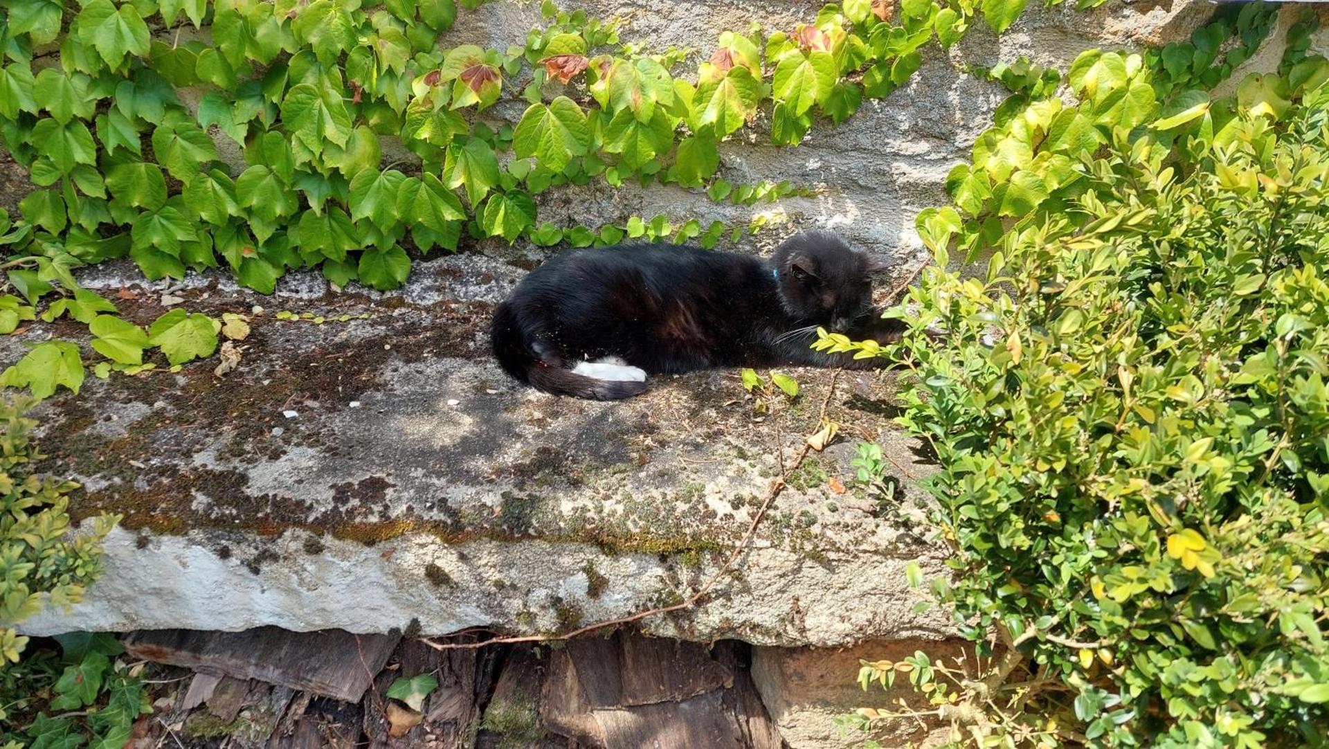 Les Chambres du Monteil - 1 à 5personnes