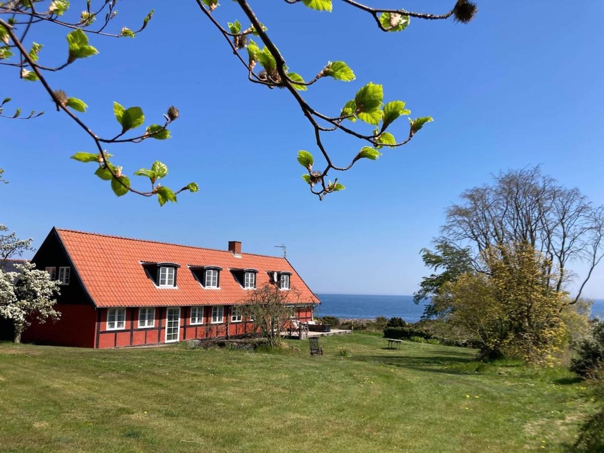 Wildernest Bornholm - Svanen