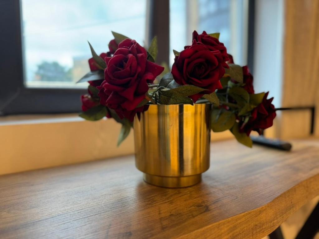 Canal Walk Studio Apartments