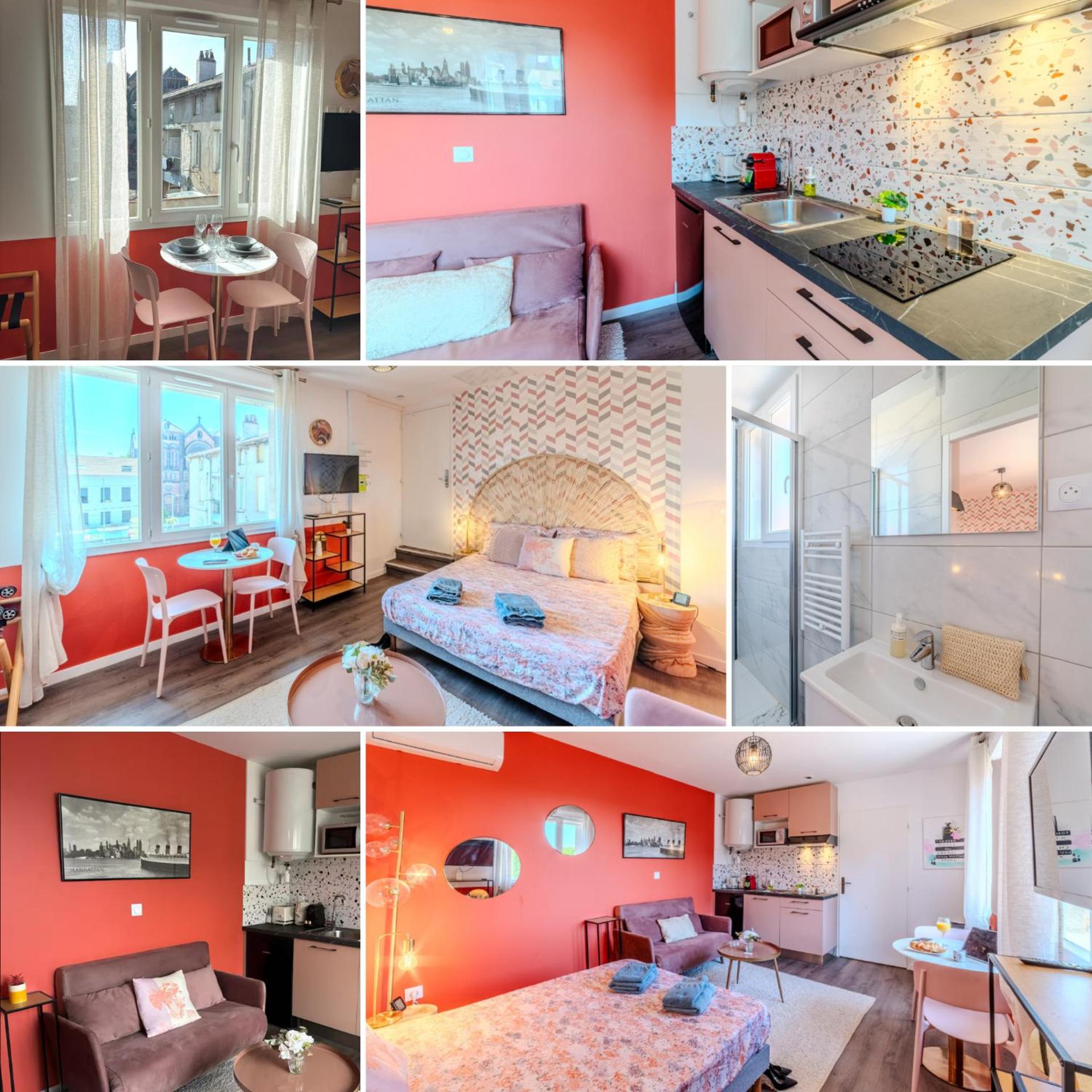 Rose Roanne centre-ville - Parking & Clim