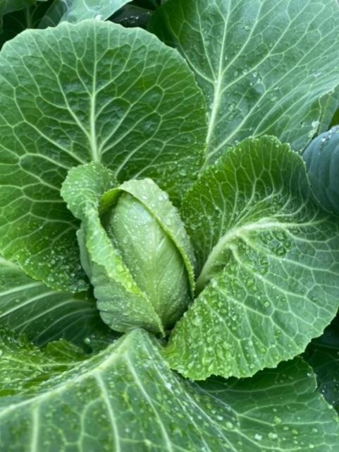 Nära centrum med sjöutsikt -Korsgården