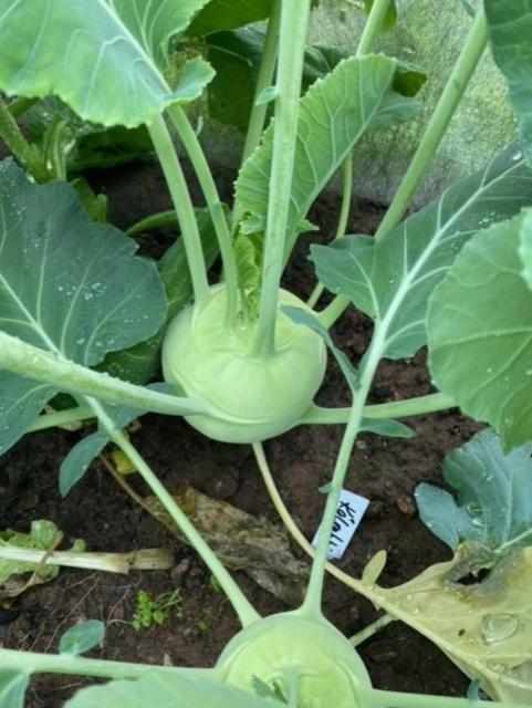 Nära centrum med sjöutsikt -Korsgården