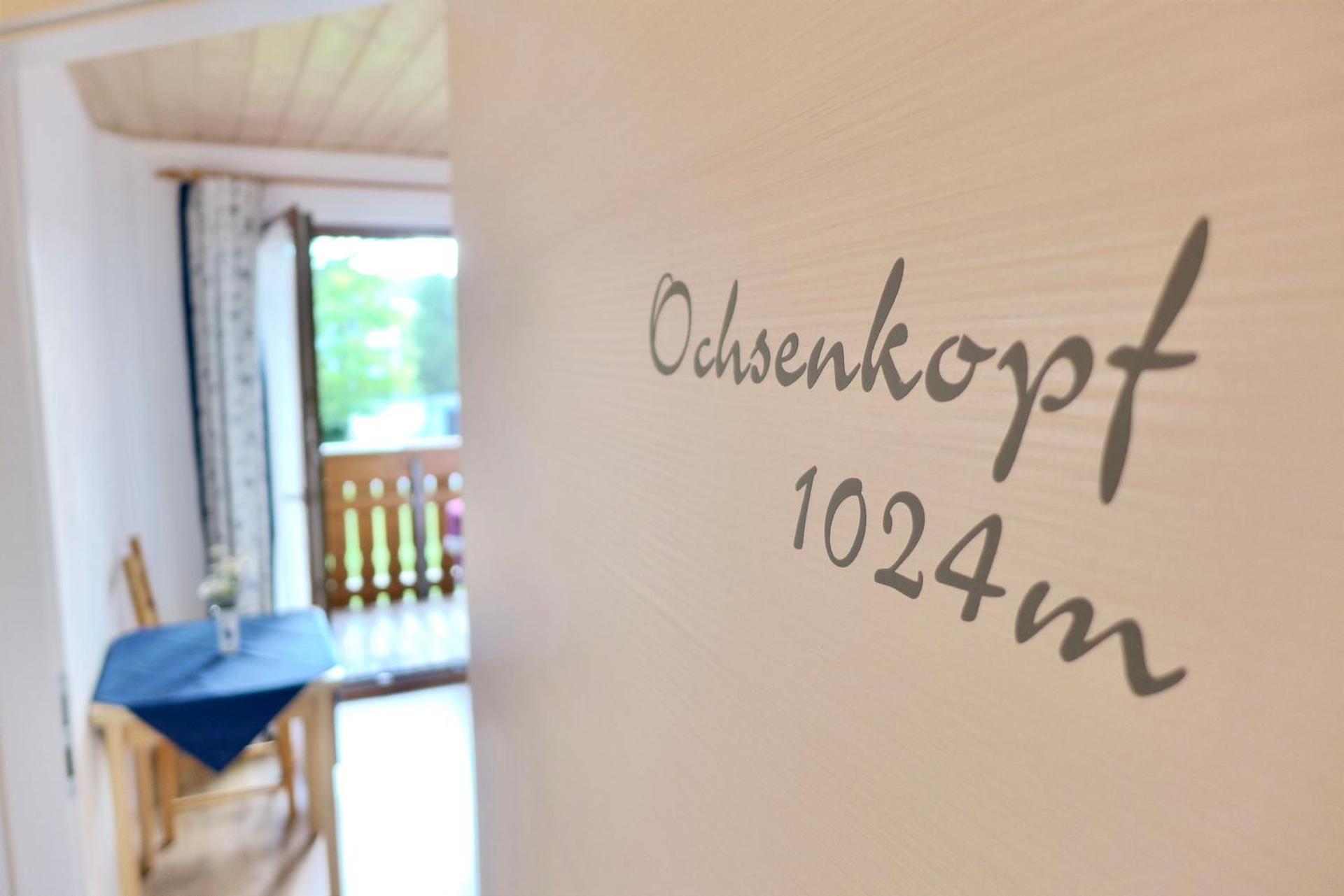 Apartment with Balcony - Ochsenkopf