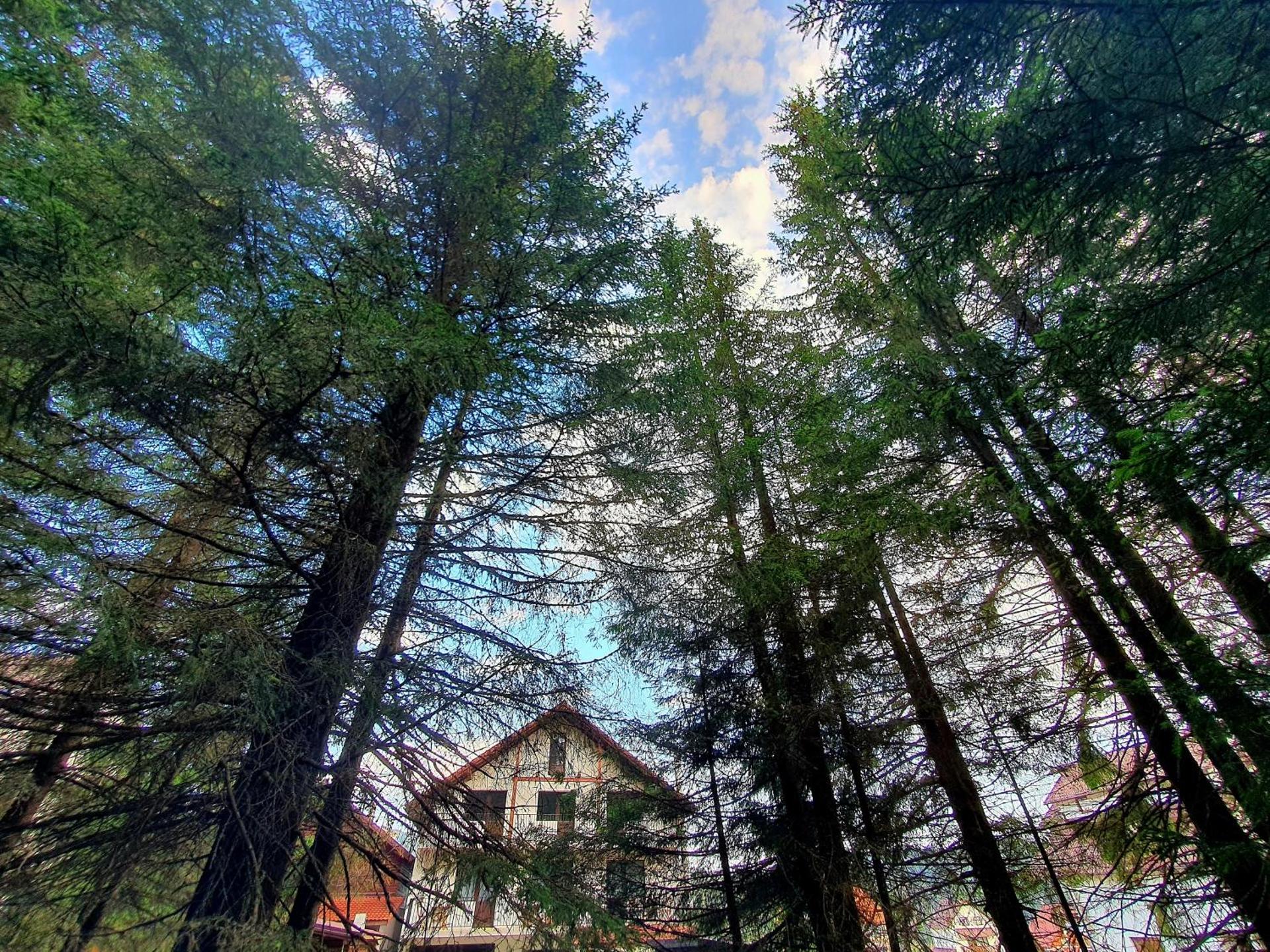 Nort Inn - Luncile Prigoanei, Sureanu, Oasa, Transalpina